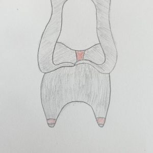 acompte capuche rouge et grise foncée