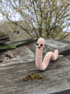 Vers de terre au crochet
