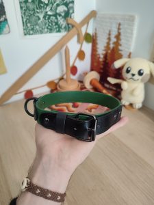 Choker similicuir vert - réservé