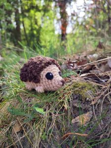 Hérisson - réservé