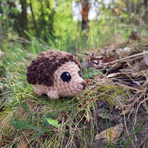 Hérisson - réservé