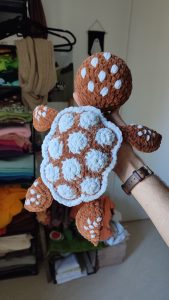 Tortue - réservée