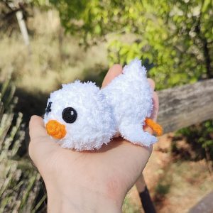 Canard fourrure